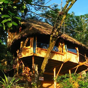 Vanira Guest house